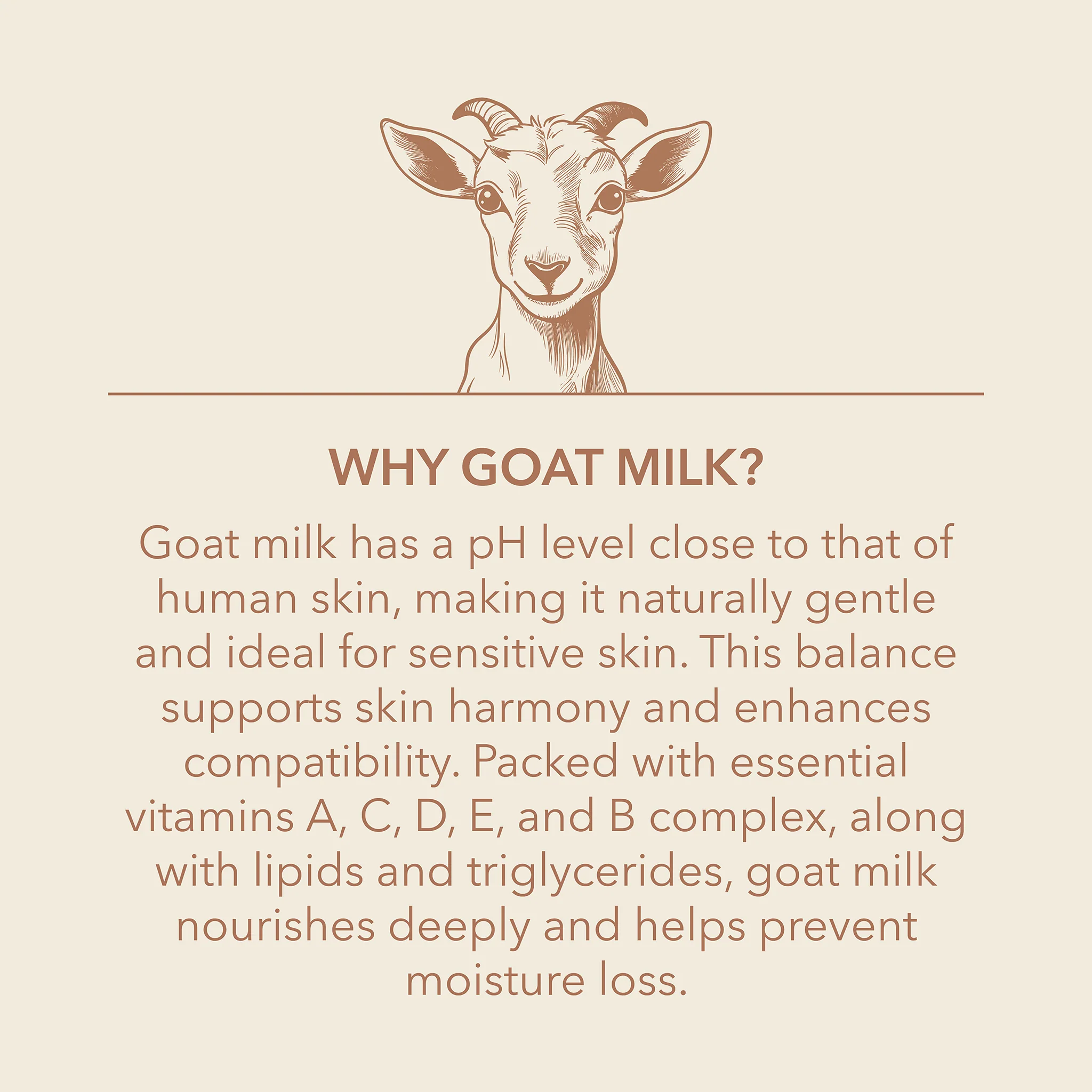 Creamy Coconut & Oats Goat Milk Body Lotion - Image 6